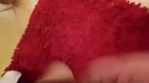 BookWriter online show from September 14, 4:55 am