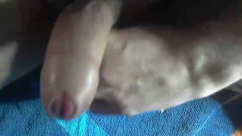 Snapshot of ni983 chatting on December 19, 3:08 pm ni983 online show from December 19, 3:08 pm