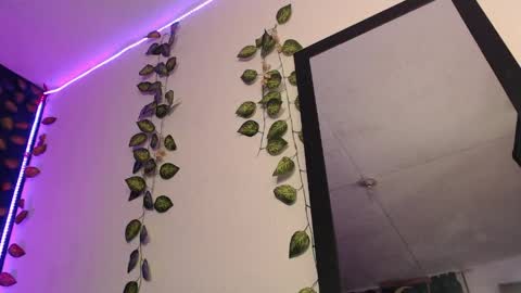  niakat  online show from April 9, 1:49 am