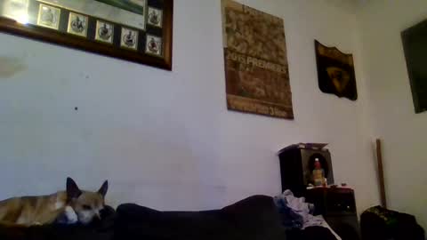 Sexiishaine online show from February 13, 10:00 pm