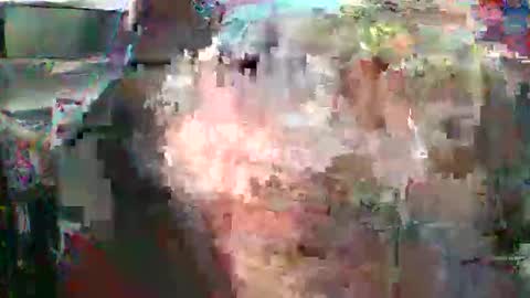 Snapshot of nicholaastavrou1977066464511s chatting on February 16, 4:41 am nick stavrou online show from February 16, 4:41 am