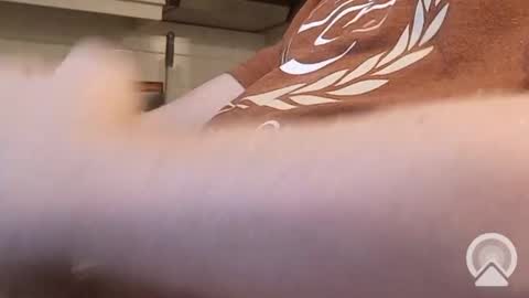 nick_x_b online show from December 9, 5:19 pm