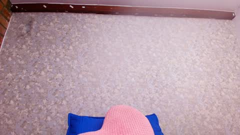 Nicol online show from February 3, 10:43 pm