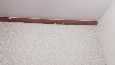 Nicol online show from March 3, 7:17 pm