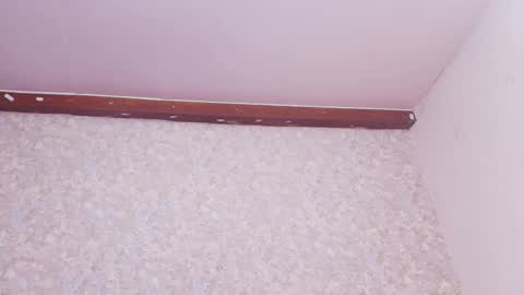 Nicol online show from March 10, 7:50 pm