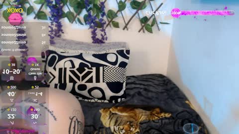 Snapshot of nicollegp chatting on April 11, 10:25 pm Nicolle ardila online show from April 11, 10:25 pm