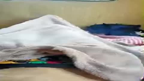 Snapshot of niesmialy89 chatting on July 4, 5:08 pm niesmialy89 online show from July 4, 5:08 pm