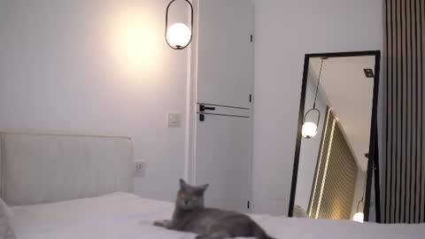 Nicole online show from July 6, 6:43 am