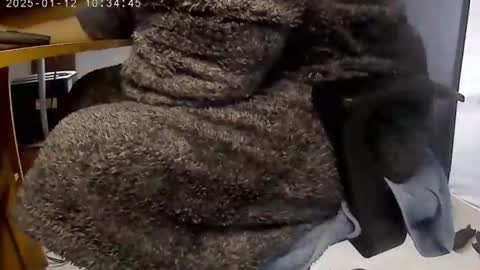 Snapshot of nineinchhard chatting on January 12, 10:34 am nineinchhard online show from January 12, 10:34 am