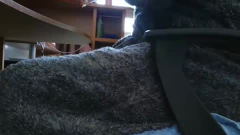 Snapshot of nineinchhard chatting on March 6, 10:20 am nineinchhard online show from March 6, 10:20 am