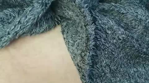 nineinchhard online show from February 24, 10:35 am