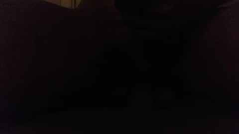 Ninjadance online show from October 8, 8:12 am