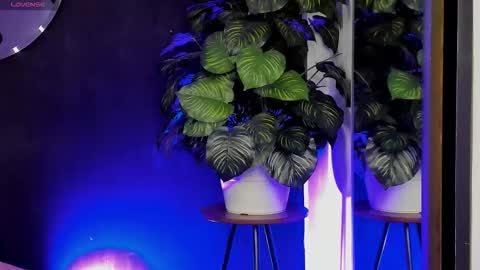 Noah  online show from March 22, 3:21 am