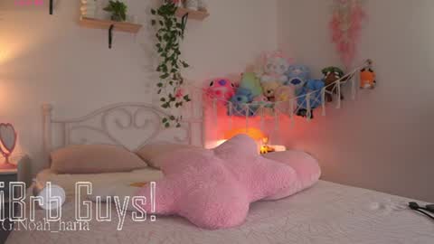 noah__23 online show from June 29, 11:05 pm
