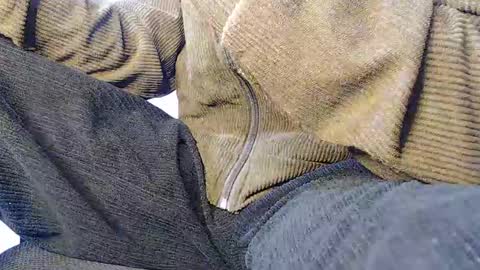 Noah Millers online show from January 20, 8:30 am