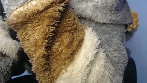 Noah Millers online show from January 23, 7:11 am