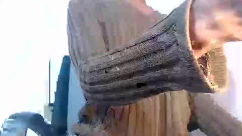 Noah Millers online show from January 27, 10:27 am