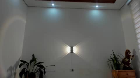 LIAM- noah online show from January 15, 1:16 pm