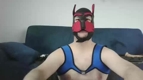 Snapshot of noapratzfr chatting on March 11, 12:39 pm noapratzfr online show from March 11, 12:39 pm