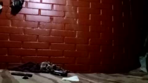 nocturnus1980 online show from February 2, 7:29 am