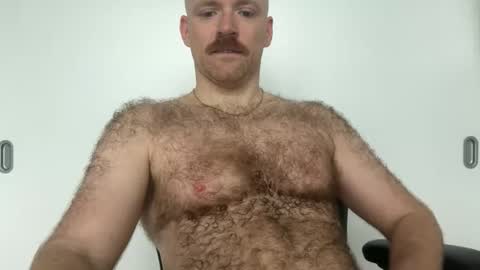 Snapshot of noplann chatting on January 8, 2:41 pm No Plan online show from January 8, 2:41 pm