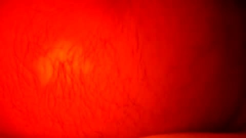 norbitomii online show from September 24, 10:57 pm