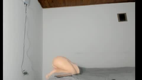 nreus online show from October 8, 10:24 am