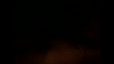 nxleon online show from December 9, 11:36 am