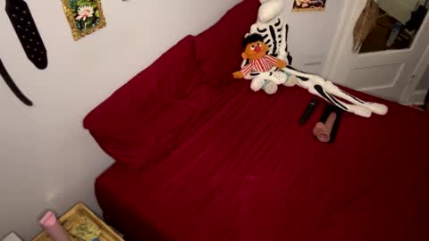 Nymphaea online show from March 24, 11:21 pm