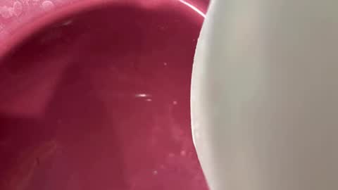 oconner701 online show from November 6, 5:30 am