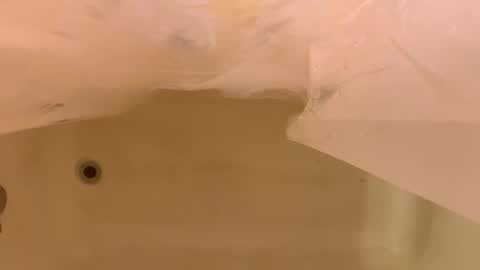 Odin Stone online show from January 6, 6:44 pm