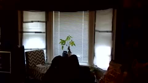 oscar flores online show from February 24, 1:42 pm