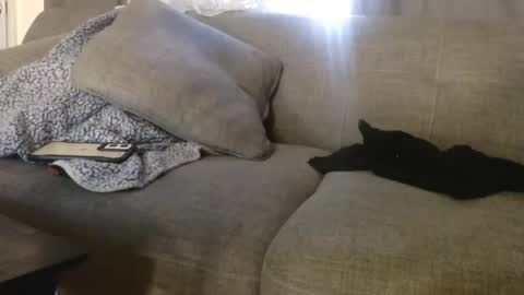 OGDigBick online show from November 4, 2:16 pm