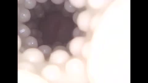 ohioguy4201985 online show from April 13, 1:05 pm