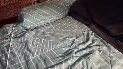 ohyea online show from March 6, 2:41 am