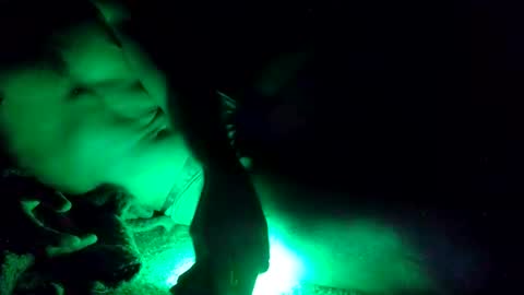 Snapshot of oibrev49 chatting on March 21, 9:03 am oibrev49 online show from March 21, 9:03 am