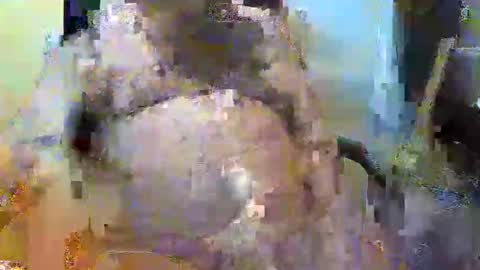 William online show from November 2, 5:26 pm