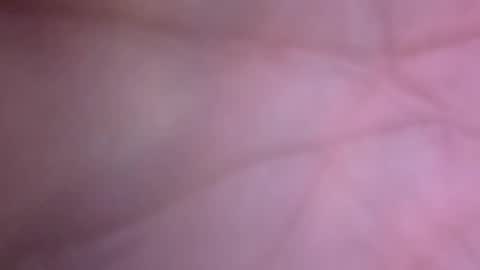 Snapshot of oliverman5150 chatting on April 12, 12:59 am Big Dino Dick online show from April 12, 12:59 am
