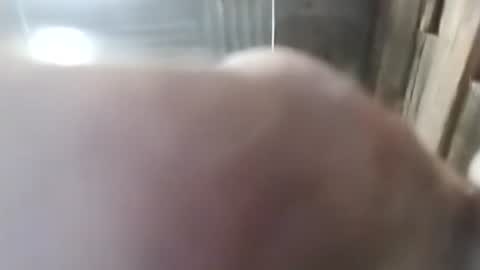 Snapshot of onesevensix04286681 chatting on February 28, 5:30 am 1760fourtwo86681 online show from February 28, 5:30 am