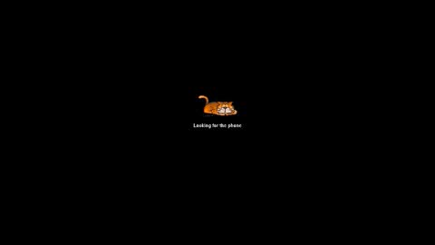 ooiskyfalloo online show from February 1, 8:13 am