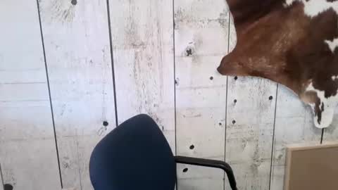 Snapshot of openmindedcowboy chatting on November 1, 3:25 pm kinkynerd online show from November 1, 3:25 pm