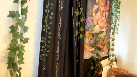 Leslie online show from June 12, 1:21 pm