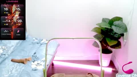 Snapshot of orchid18 chatting on November 25, 6:46 am Candy online show from November 25, 6:46 am