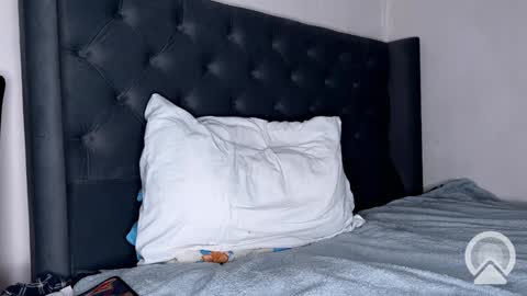 Snapshot of origamicat chatting on January 26, 12:22 pm origamicat online show from January 26, 12:22 pm