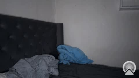 Snapshot of origamicat chatting on February 6, 3:20 pm origamicat online show from February 6, 3:20 pm