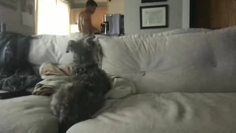 rossignol online show from September 13, 4:29 pm