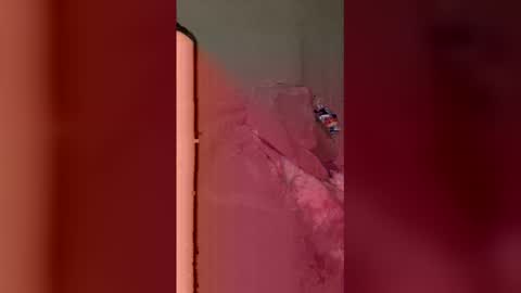 otmdetailing6 online show from December 14, 8:20 am