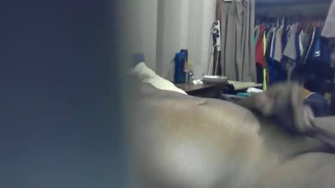 ozchaad online show from January 13, 1:05 pm