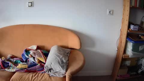 Pajarito lindo online show from September 13, 12:38 pm