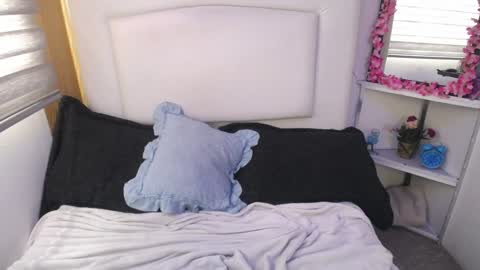 Snapshot of palmer_mix chatting on December 28, 4:20 pm Palmer online show from December 28, 4:20 pm